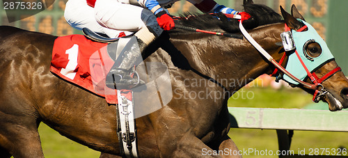 Image of One Horse Rider Jockey Come Across Race Line Photo Finish