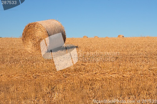Image of Hay Bale