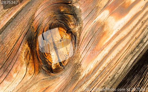 Image of Lumber Gnarled Knotty Wood Lumber Plank Macro Burnt Nail