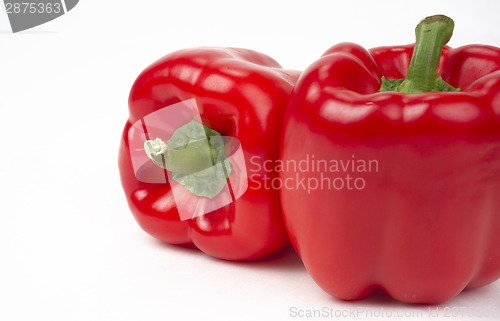 Image of Pair of Bright Fresh Red Peppers Food Sits on White