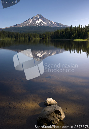 Image of Calm Clear Water Trillium Lake Mount Hood Oregon State