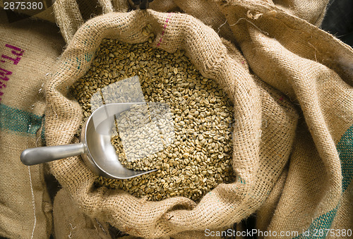Image of Raw Coffee Seeds Bulk Scoop Burlap Bag Agriculture Bean