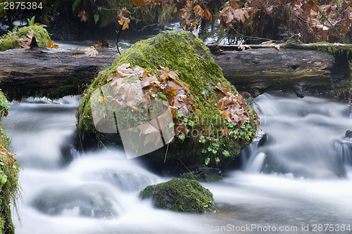 Image of Long Exposure Water Flowing Down Stream Moss Covered Rocks