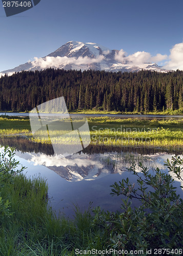 Image of Saturated Color at Reflection Lake Mt. Rainier National Park Ver