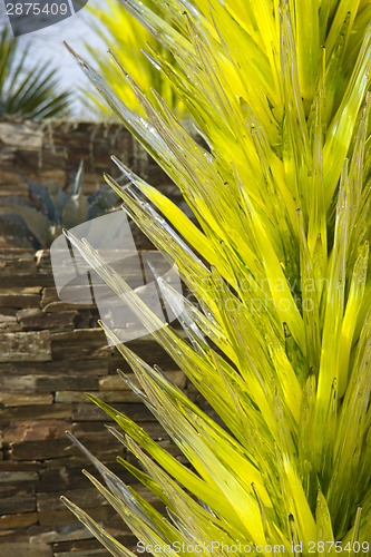 Image of Chihuly Glass Instalation Desert Towers Desert Botanic Gardens P