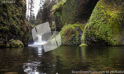 Image of Standing in Water Punch Bowl Falls Columbia River Gorge