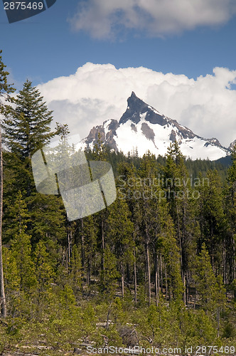 Image of Big Cowhorn Mt. Thielsen Extinct Volcano Oregon Cascade Range Mo