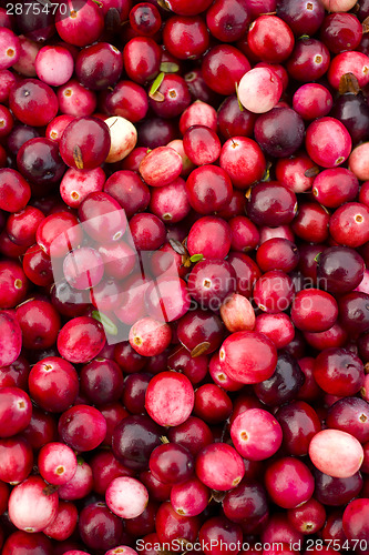 Image of Cranberries