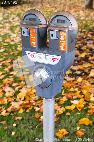 Image of Dual Parking Meter Needs Payment Coin Slot Autumn Downtown