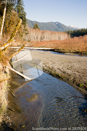 Image of Winter Along  Mountain Stream Hoh River Banks Olympic Mountains