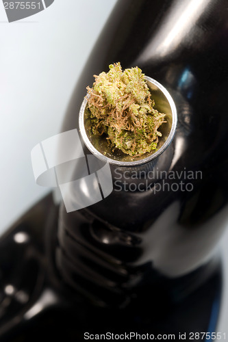 Image of Water Pipe Green Buds Marijuana Plant Flowers Cannibis Natural M