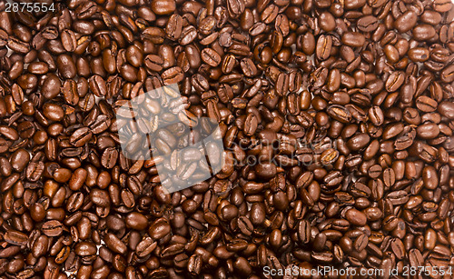 Image of Dark Brown Roasted Coffee Seeds Beans Food Drink Ingredient