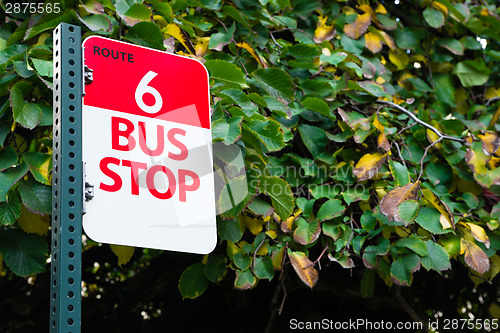 Image of Bus Stop Route 6 Public Transit Downtown City Transportation