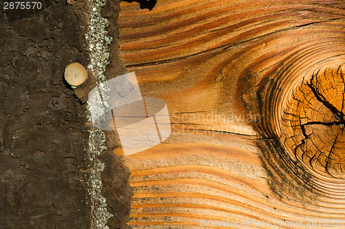 Image of Knotty Pine Board Weathered Wood Asphalt Shingle Roofing Siding 