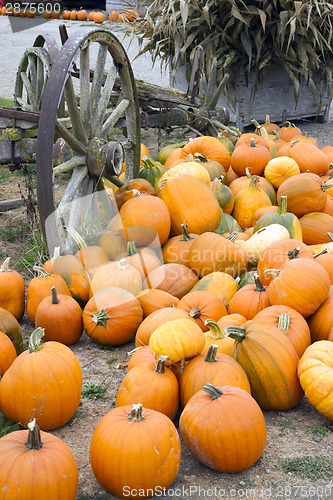 Image of Farm Scene Old Wagon Vegetable Pile Autumn Pumpkins October