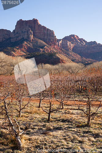 Image of Sunrise High Mountain Buttes Zion National Park Desert Southwest