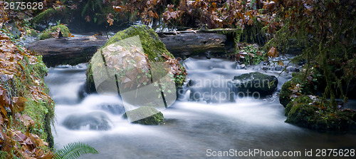 Image of Long Exposure Water Flowing Down Stream Moss Covered Rocks