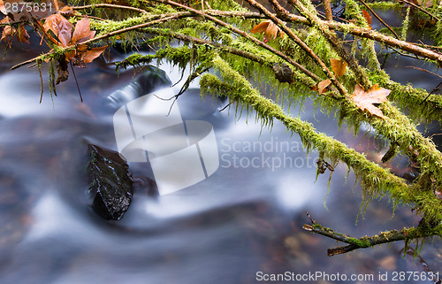 Image of Waterfall on Trail Great Northwest Pacific Coast