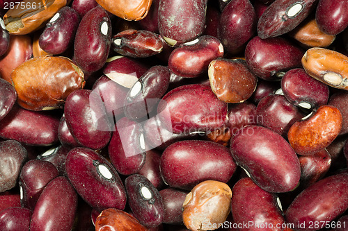 Image of Pile of Dried Kidney Beans Dry Unrinsed Healthy Food Staple