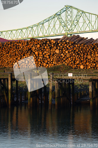 Image of Log Pile Columbia River Pier Wood Export Timber Industry