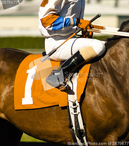 Image of The Number One Horse Prepares to Enter the Start Gate at Horse T