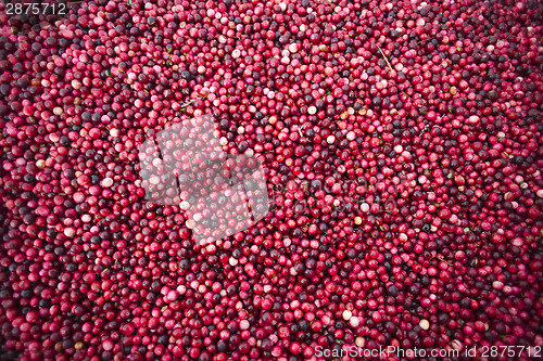 Image of Harvest