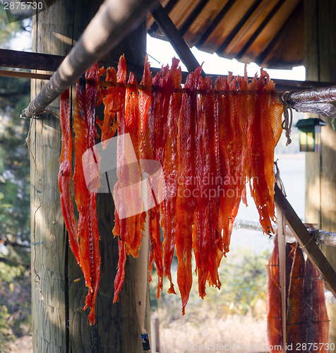 Image of King Salmon Fish Meat Catch Hanging Native American Lodge Drying
