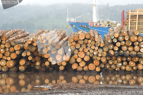 Image of Logging Shipyard