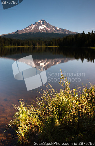 Image of Calm Clear Water Trillium Lake Mount Hood Oregon State