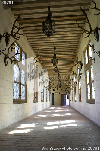 Image of Corridor displaying hunting trophys, Chateau de chambord, loire valley, france