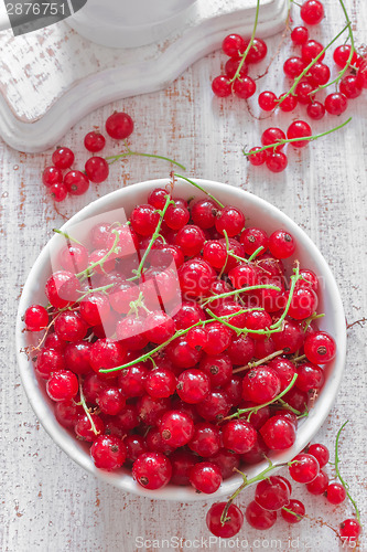 Image of Red currant