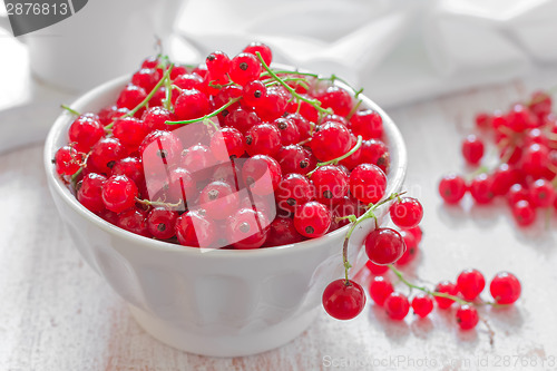 Image of Red currant