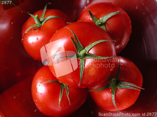 Image of tomatoes