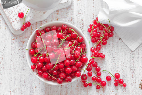 Image of Red currant
