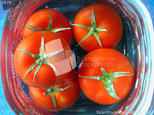 Image of tomatoes