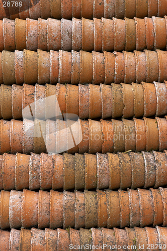 Image of Terracotta plant pots