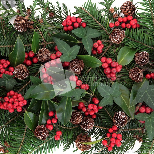Image of Christmas Flora