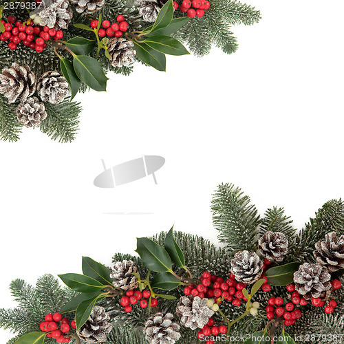 Image of Traditional Winter Flora