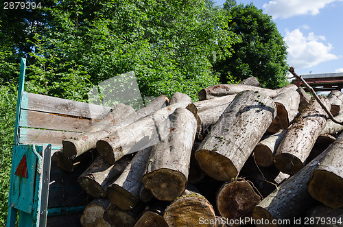 Image of pile of cut logs in trailer, forest seasonal work  