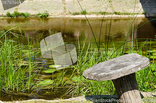 Image of water stream flow green flora on water lily leaf 