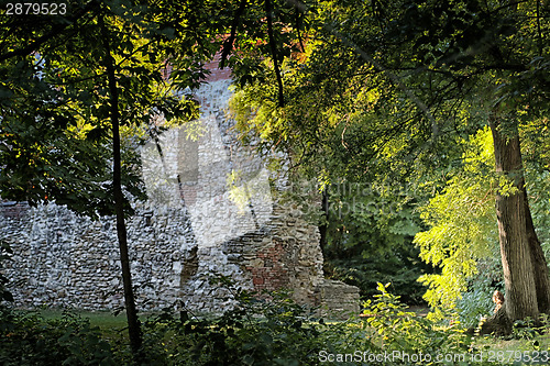 Image of Lone woman in wood