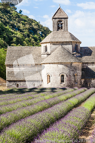 Image of Lavander field