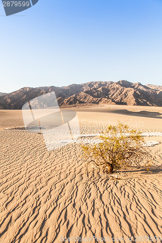 Image of Death Valley Desert