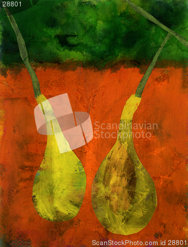 Image of Yellow Squash