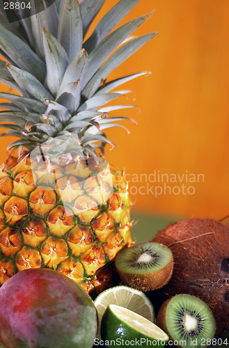Image of Tropical Fruit Background