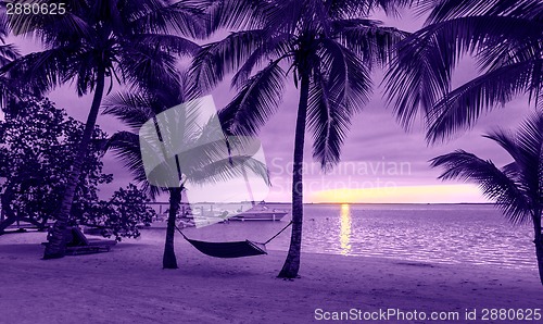 Image of palm trees and hammock on tropical beach