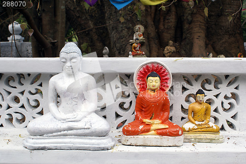 Image of Buddhas under the tree