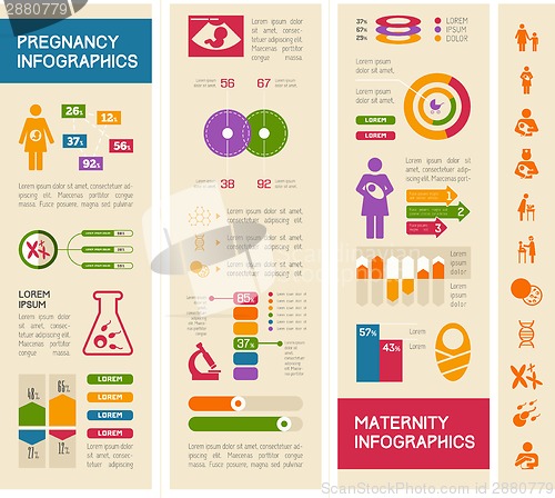 Image of Maternity Infographic Template.