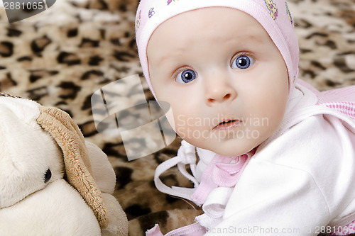 Image of surprised baby in a cap with a soft toy