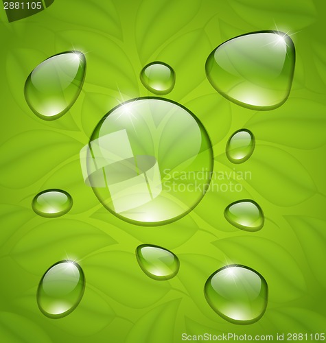 Image of Water drops on fresh green leaves texture